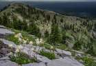 USA, Wyoming. Columbine and Beards Mountain. West side of Tetons. Art Print